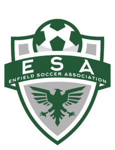 ESA Logo Large