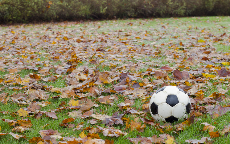 Soccer ball and leaves Soccer ball on a leaf filled grass lawn.