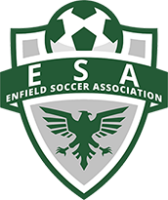 ESA_New_Small