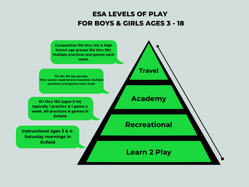 ESA_Level_of_Play_Pyramid